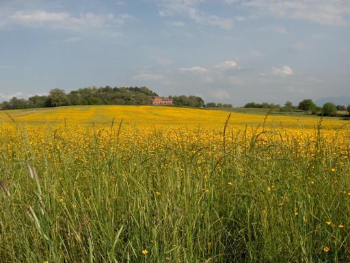 Panoramica della collina di Selva dei Muli - Frosinone